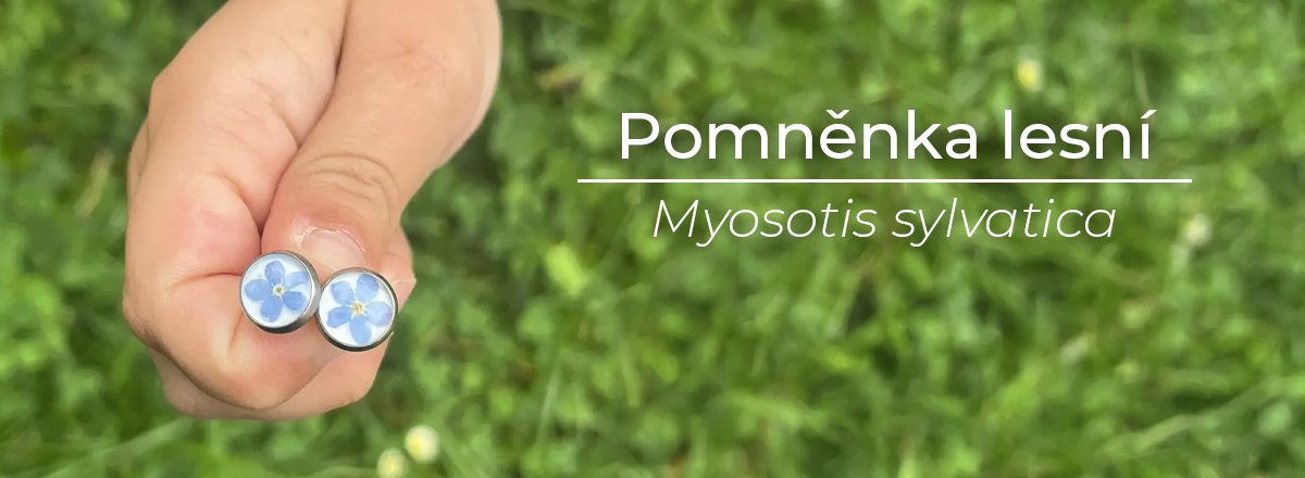 naturesin-banner-pomnenka-1