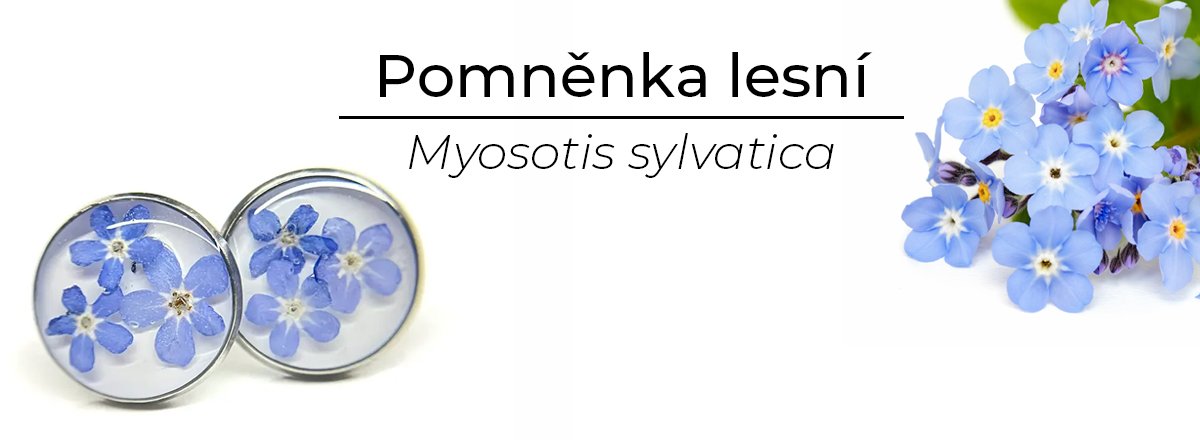 naturesin-banner-pomnenka-main-1