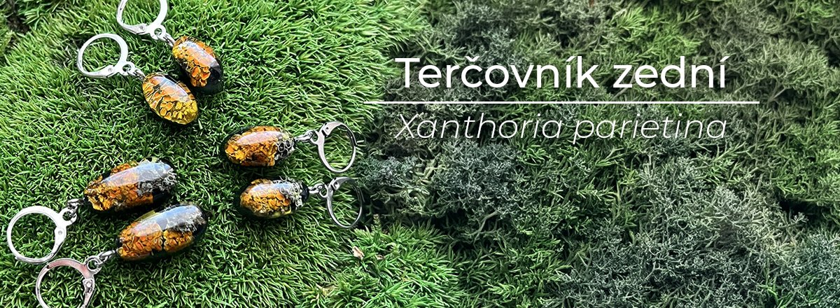 naturesin-banner-tercovnik-1