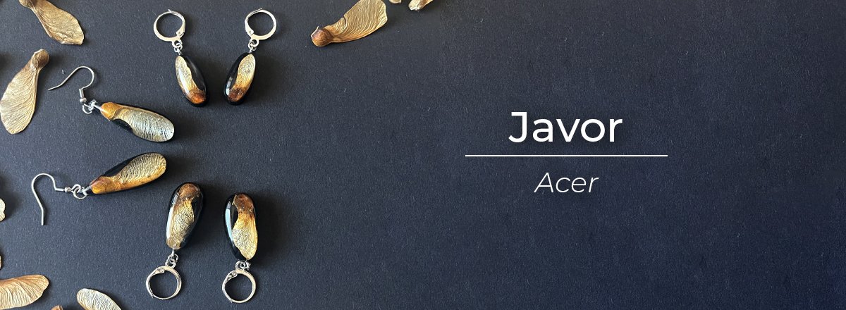 naturesin-banner-javor