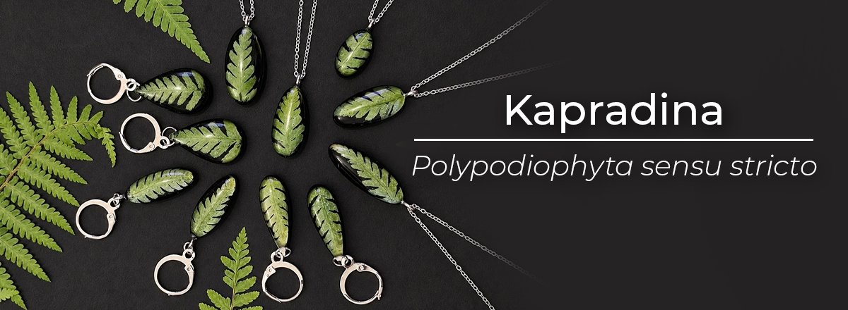 naturesin-banner-kapradina